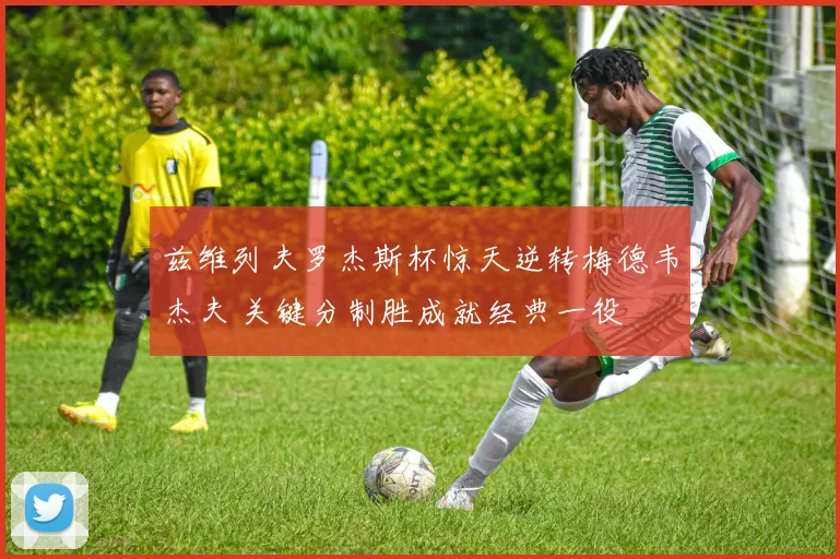 兹维列夫罗杰斯杯惊天逆转梅德韦杰夫 关键分制胜成就经典一役